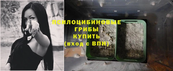 прущая мука Новодвинск
