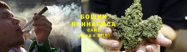 амф Новозыбков