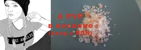 амф Новозыбков