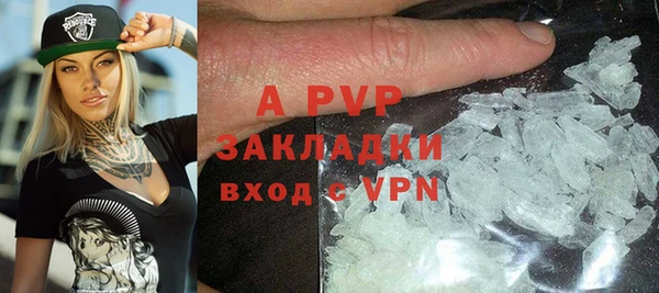 амф Новозыбков