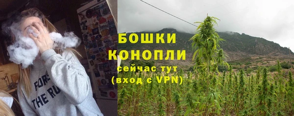 амф Новозыбков