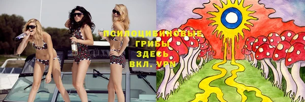 мескалин Арсеньев