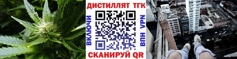 ТГК Wax Щёлкино