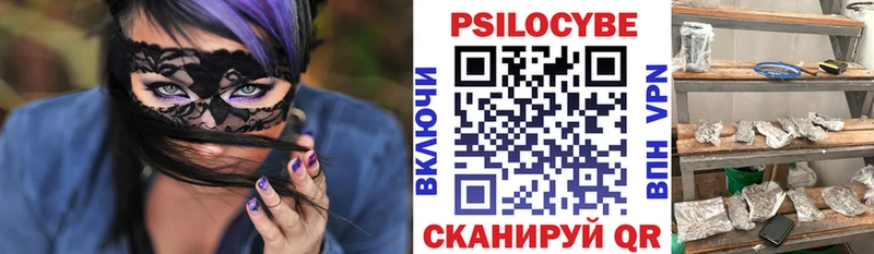 Псилоцибиновые грибы мухоморы  где можно купить   ОМГ ОМГ зеркало  Щёлкино 
